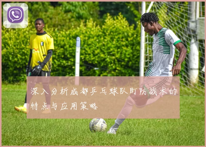 深入分析成都乒乓球队盯防战术的特点与应用策略