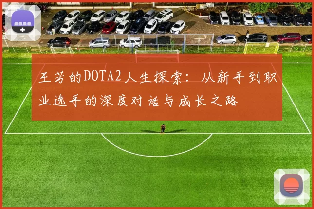 王芳的DOTA2人生探索：从新手到职业选手的深度对话与成长之路