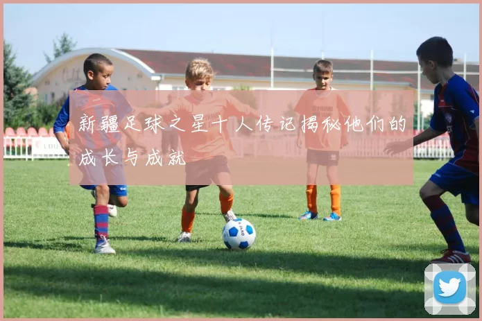 新疆足球之星十人传记揭秘他们的成长与成就