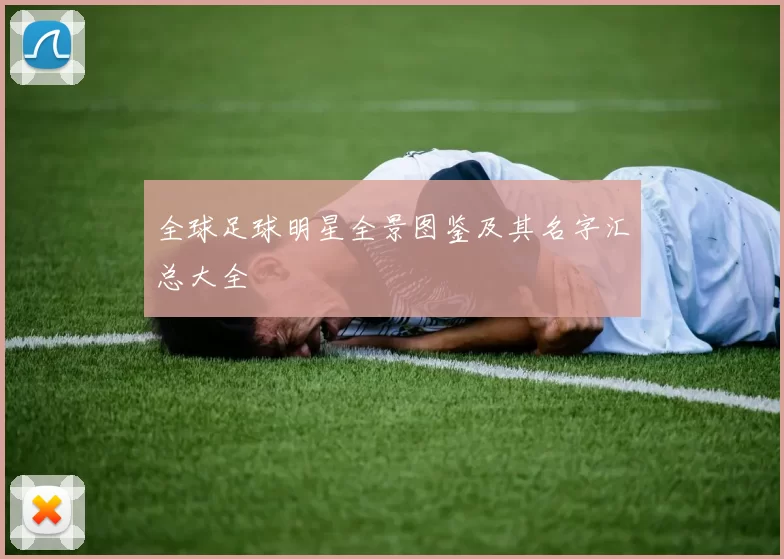全球足球明星全景图鉴及其名字汇总大全