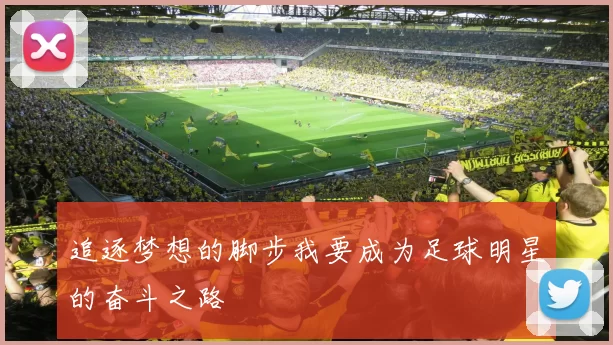 追逐梦想的脚步我要成为足球明星的奋斗之路