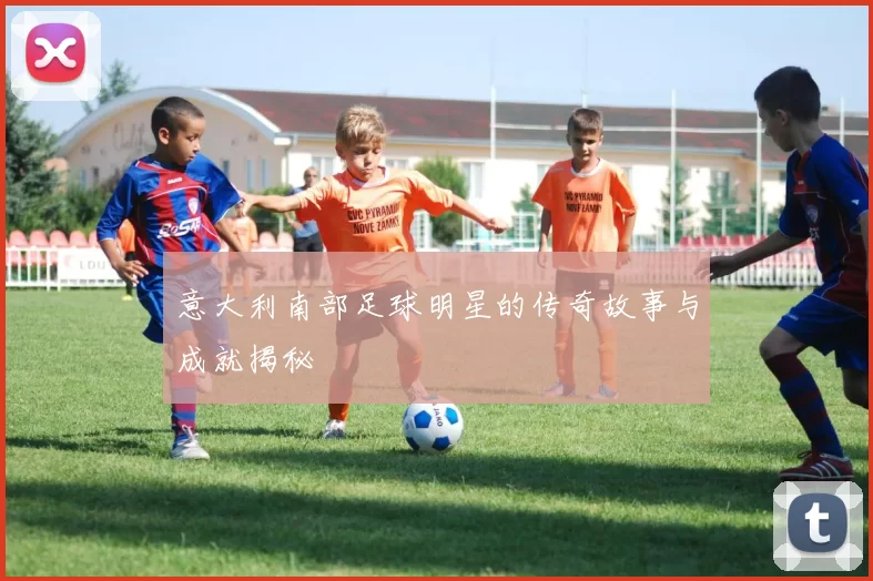 意大利南部足球明星的传奇故事与成就揭秘