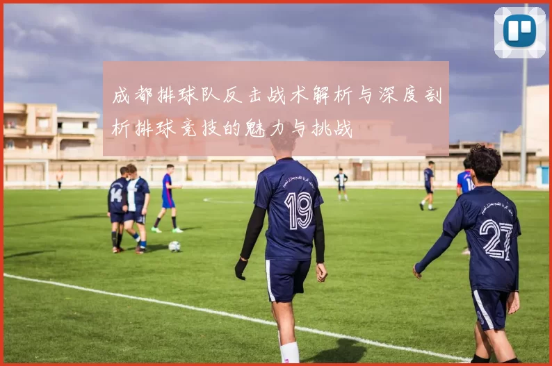 成都排球队反击战术解析与深度剖析排球竞技的魅力与挑战