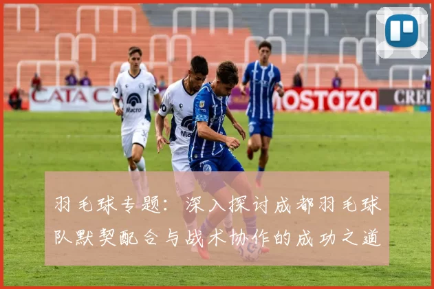 羽毛球专题：深入探讨成都羽毛球队默契配合与战术协作的成功之道