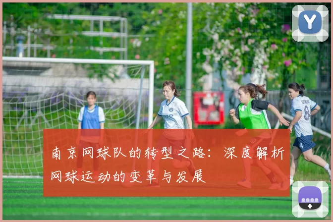 南京网球队的转型之路：深度解析网球运动的变革与发展