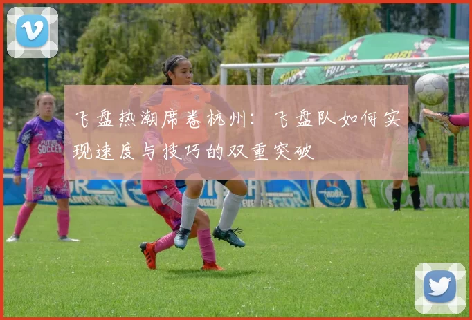 飞盘热潮席卷杭州：飞盘队如何实现速度与技巧的双重突破