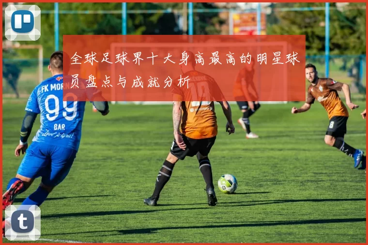 全球足球界十大身高最高的明星球员盘点与成就分析