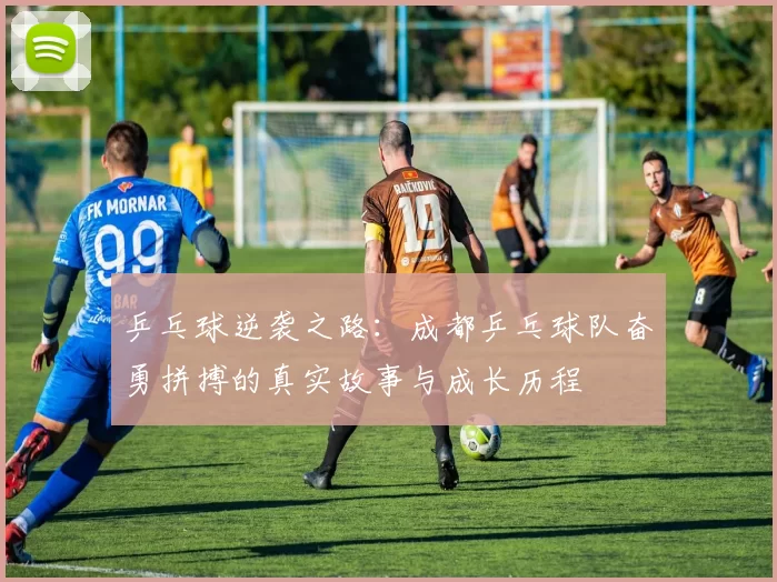 乒乓球逆袭之路：成都乒乓球队奋勇拼搏的真实故事与成长历程