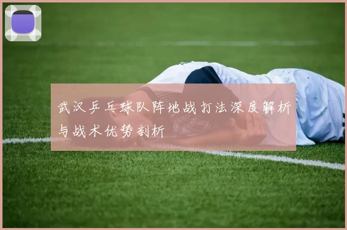 武汉乒乓球队阵地战打法深度解析与战术优势剖析