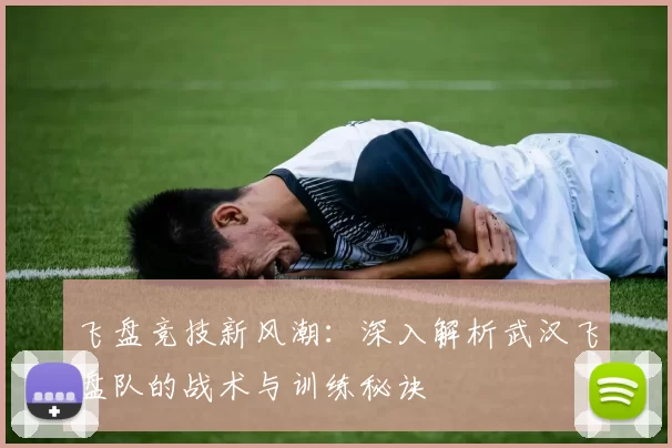 飞盘竞技新风潮：深入解析武汉飞盘队的战术与训练秘诀