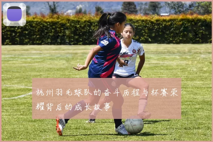 杭州羽毛球队的奋斗历程与杯赛荣耀背后的成长故事