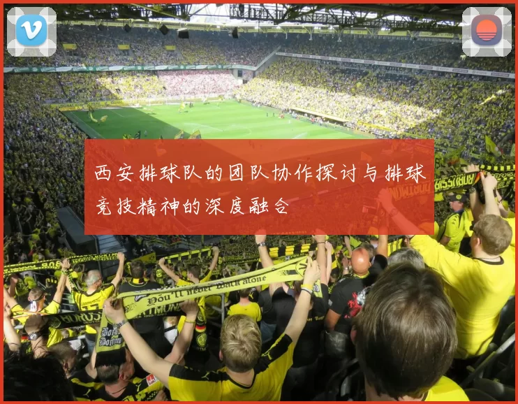 西安排球队的团队协作探讨与排球竞技精神的深度融合