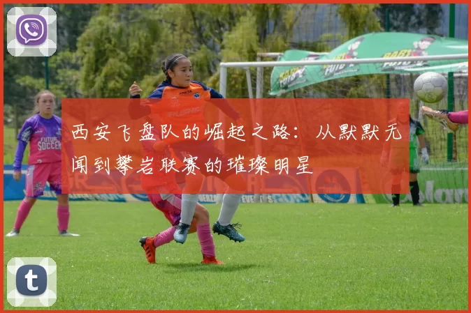西安飞盘队的崛起之路：从默默无闻到攀岩联赛的璀璨明星