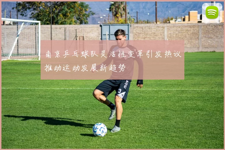 南京乒乓球队灵活性变革引发热议推动运动发展新趋势
