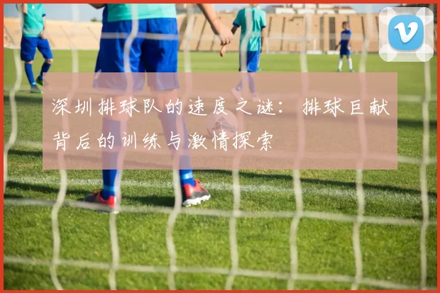 深圳排球队的速度之谜：排球巨献背后的训练与激情探索